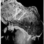 20250217_31.jpg