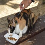 20260924_9.jpg